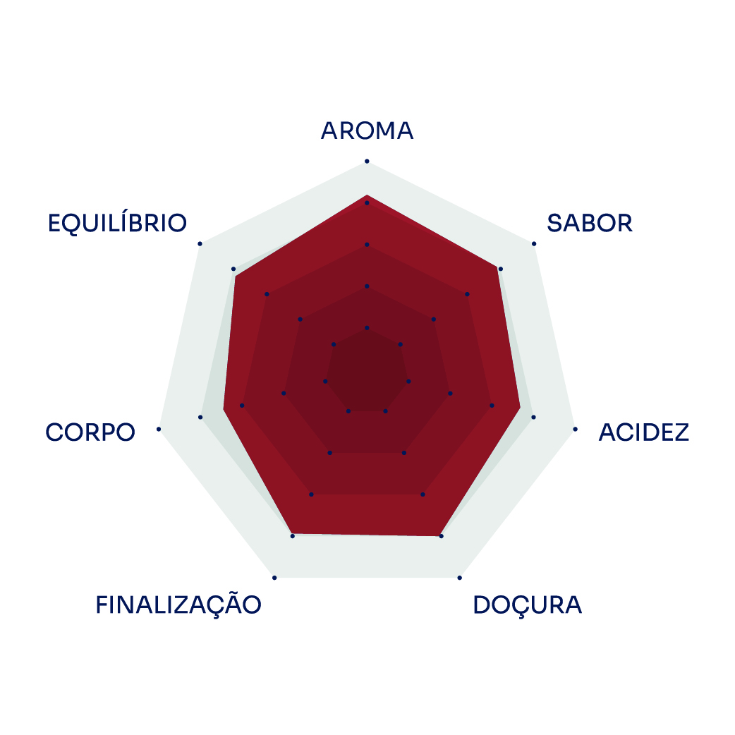 Café do Peru | Llanos y Vecinos 9 Café de Especialidade do Peru Llanos y Vecinos