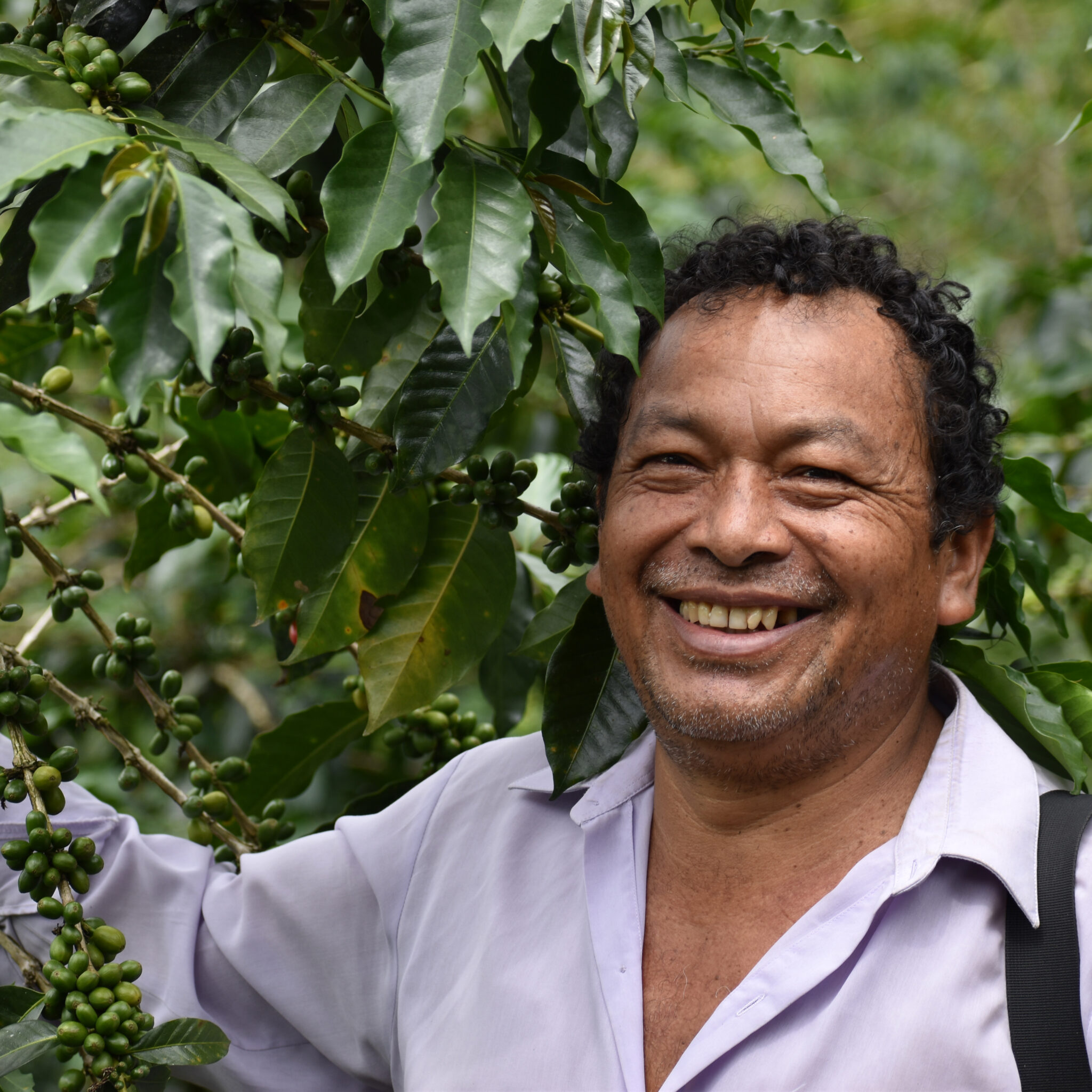 Café do Peru | Llanos y Vecinos 3 Café de Especialidade do Peru Llanos y Vecinos