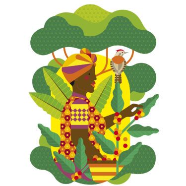 Café de Especialidade da Etiópia - Wolaita