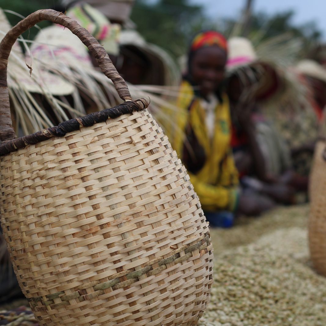 Café da Etiópia | Wolaita 5 Café de Especialidade da Etiópia - Wolaita