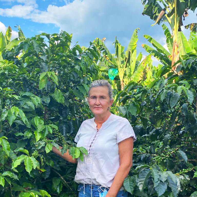 Café da Colômbia | Luz Helena 3 Café de Especialidade da Colômbia - Luz Helena